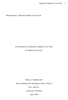 APA Title Page APA Title Page