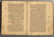 Dictionary of animals permitted and forbidden for use as food