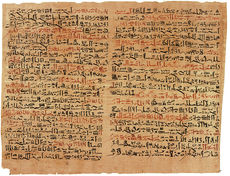 The Edwin Smith Papyrus