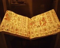 Mayan Codex