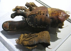 Cropped version of image of a prosthetic toe from ancient Egypt, now in the Egyptian Museum in Cairo