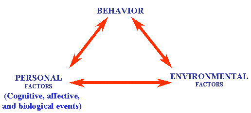 Social Cognitive Theory